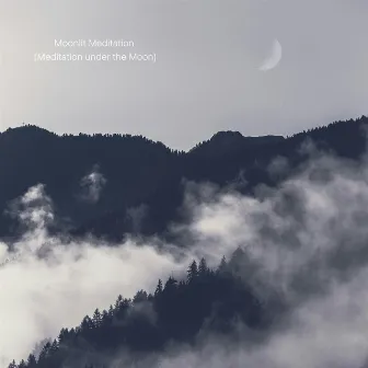 Moonlit Meditation (Meditation under the Moon) by Savasana