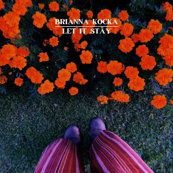 Let it Stay by Brianna Kocka