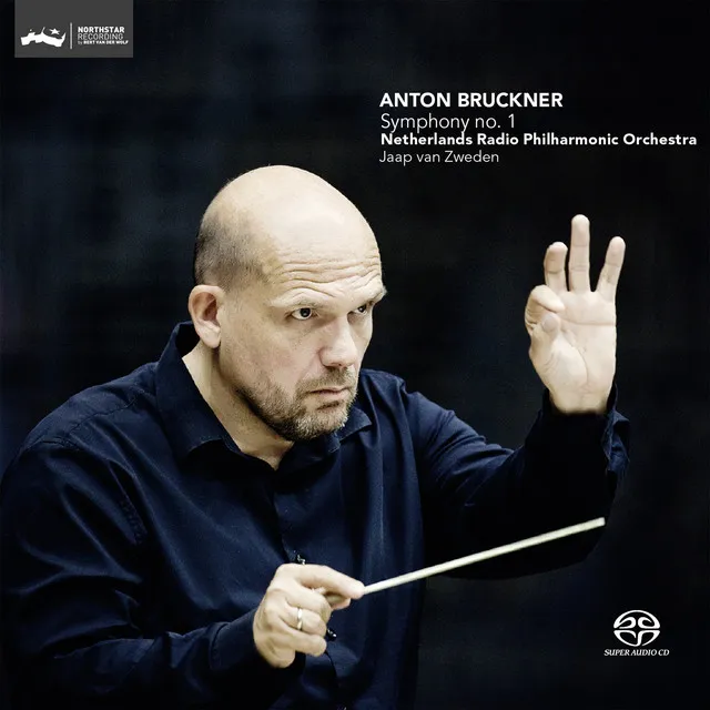 Symphony No. 1 in C Minor, WAB 101 - Edition Nowak (Linzer Fassung, 1866): I. Allegro