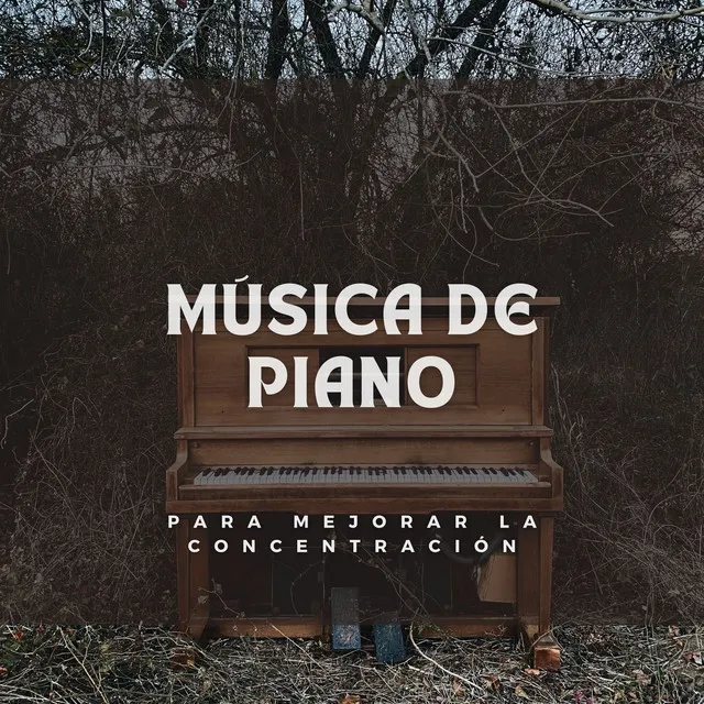 Música De Piano Para Mejorar La Concentración