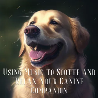 Using Music to Soothe and Relax Your Canine Companion by Unknown Artist