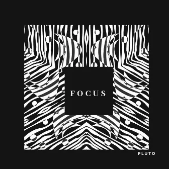 Focus by Pluto