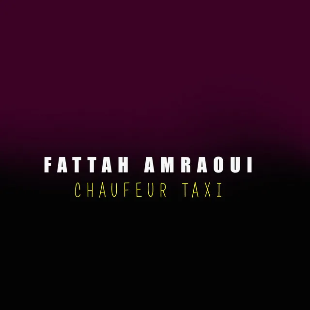 Chauffeur taxi