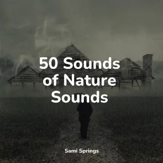 50 Sounds of Nature Sounds by Fabricantes De Lluvia