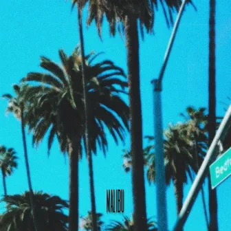 Malibu by Narco