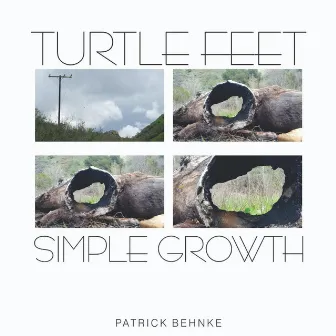 Turtle Feet / Simple Growth by Patrick Behnke