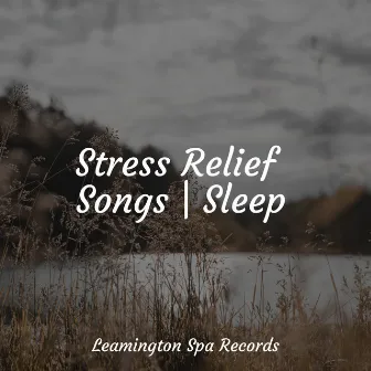 Stress Relief Songs | Sleep by Relaxed Minds