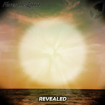 Revealed by Flares the Spirit