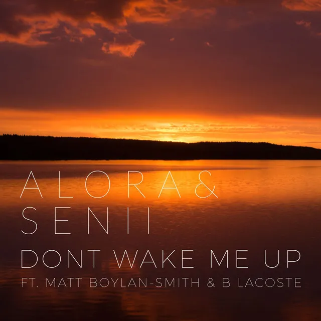 Don't Wake Me Up (feat. Matt Boylan-Smith & B. Lacoste)