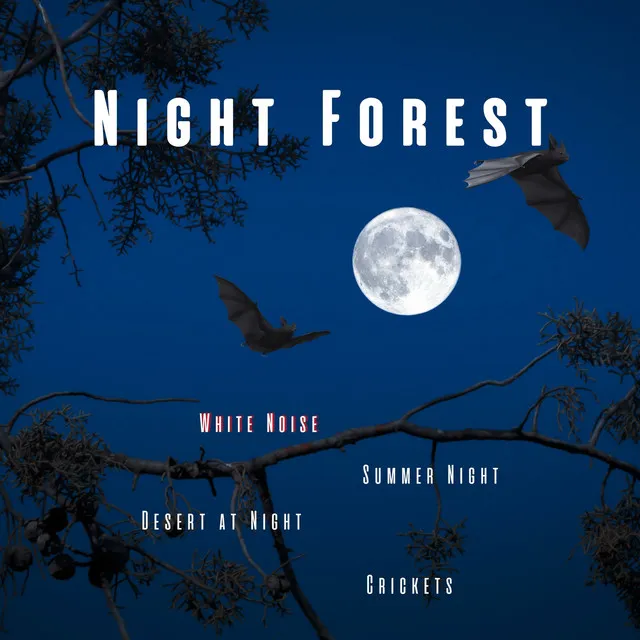 Night Forest, Crickets, Summer Night, Desert at Night, White Noise, Loopable