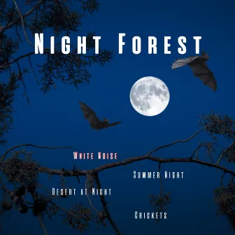 Night Forest, Crickets, Summer Night, Desert at Night, White Noise, Loopable by White Noise ASMR