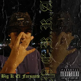 P.E.R.R.A by Big K El Farsante