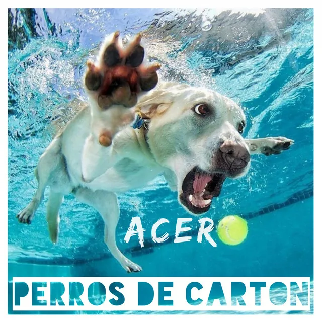 Perros De Carton