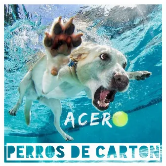 Perros De Carton by ACERO