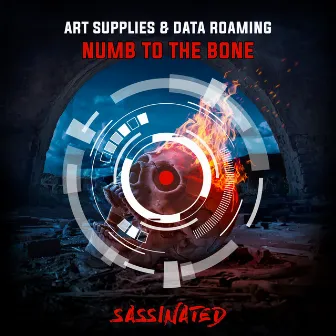 Numb To The Bone by Data Roaming