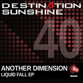 Liquid Fall EP by Another Dimension