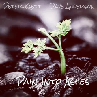 Pain Into Ashes by Peter Klett