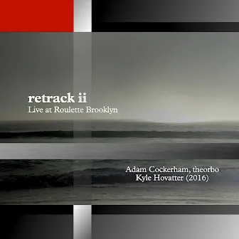 Retrack II: Theorbo (Live at Roulette in Brooklyn) by Adam Cockerham