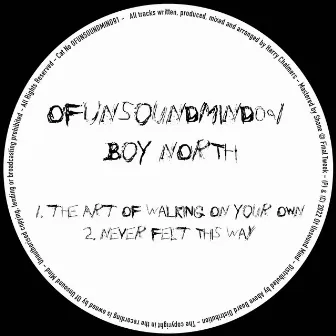 The Art of Walking on Your Own / Never Felt This Way by Boy North