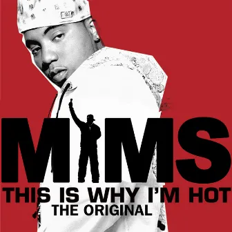 This Is Why I'm Hot by MiMS