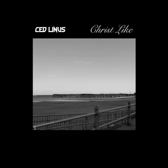 Christ Like by Ced Linus