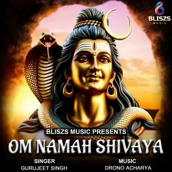 Om Namah Shivaya by Gurujeet Singh