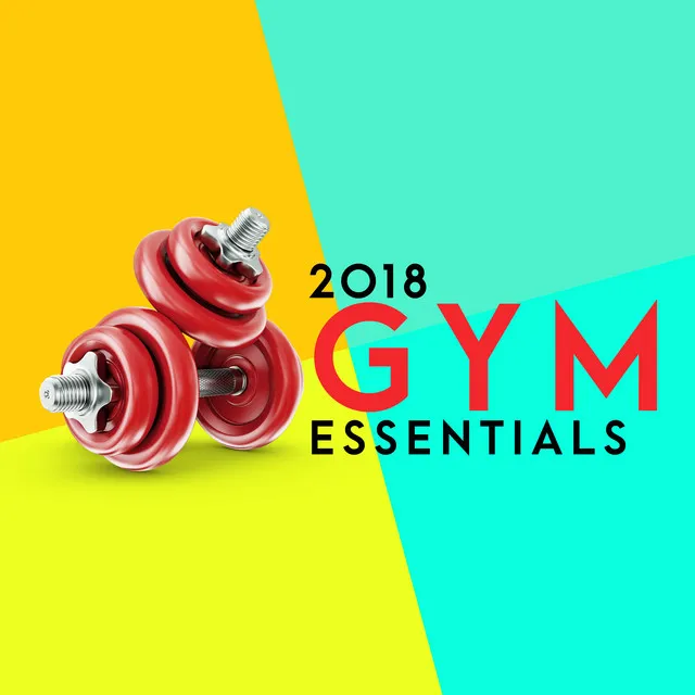 2018 Gym Essentials