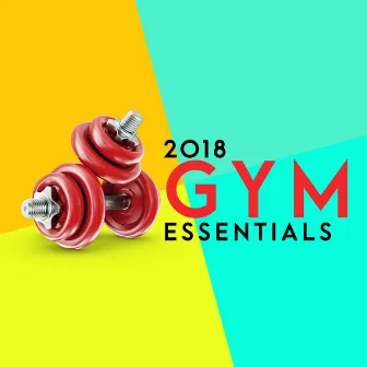 2018 Gym Essentials by Workout Buddy