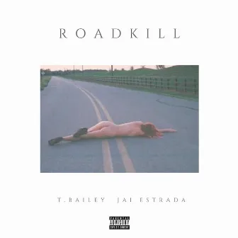 Roadkill by T. Bailey