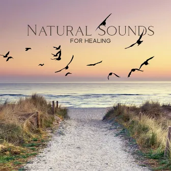 Natural Sounds For Healing: Relaxing Music With Sounds Of Nature For Studying, Meditation, Yoga, Reiki, Peaceful Sleep by Unknown Artist