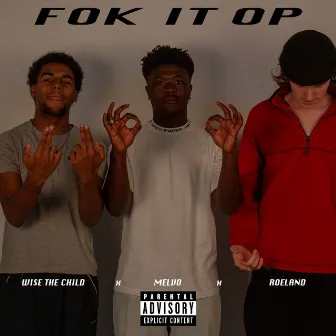 Fok It Op by Wise The Child