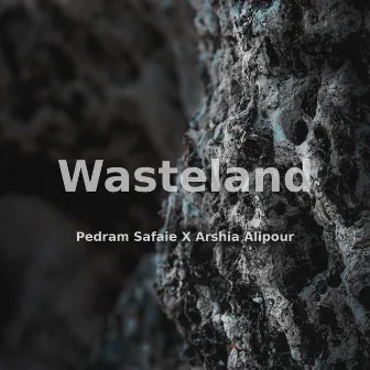 Wasteland by Arshia Alipour