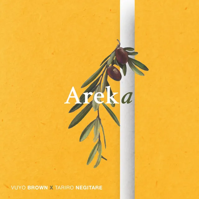 Areka