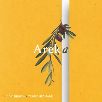 Areka by Vuyo Brown