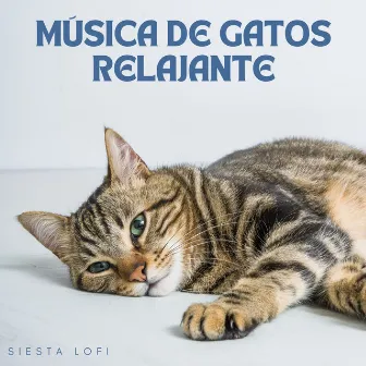 Música De Gatos Relajante: Siesta Lofi by Ritmos Lofi Hop-Hop