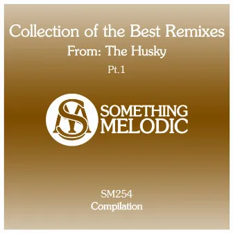 Collection of the Best Remixes From: The Husky, Pt. 1 by The Husky