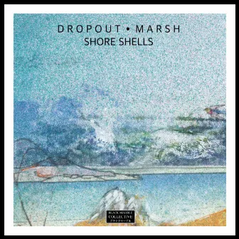 Shore Shells by Dropout Marsh