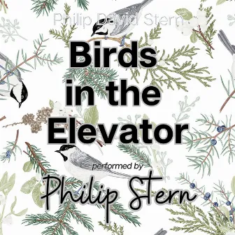 Birds in the Elevator by Philip David Stern