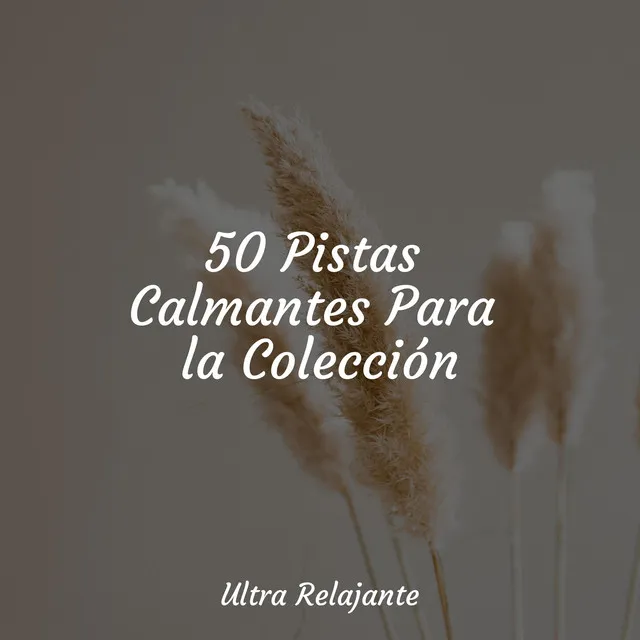 50 Pistas Calmantes Para la Colección