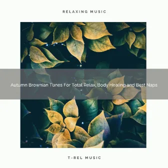 Autumn Brownian Tunes For Total Relax, Body Healing and Best Naps by Unknown Artist