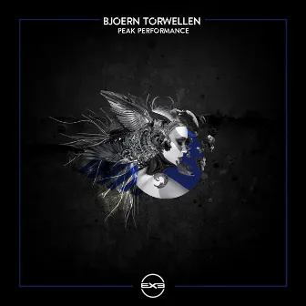 Peak Performance by Bjoern Torwellen