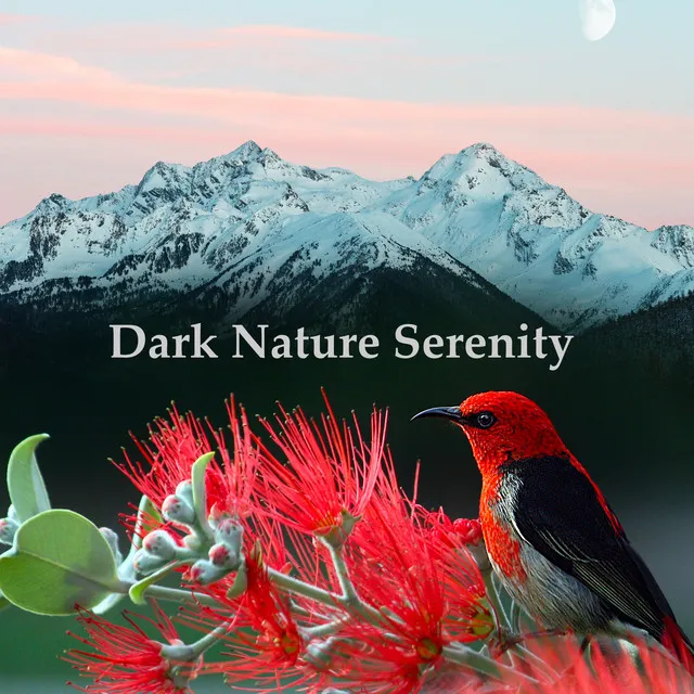 Dark Nature Serenity