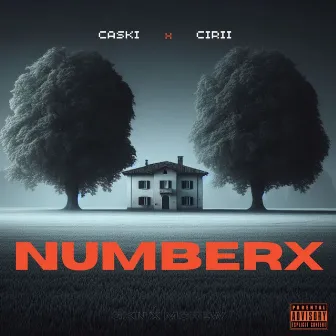 NUMBERX by Caski