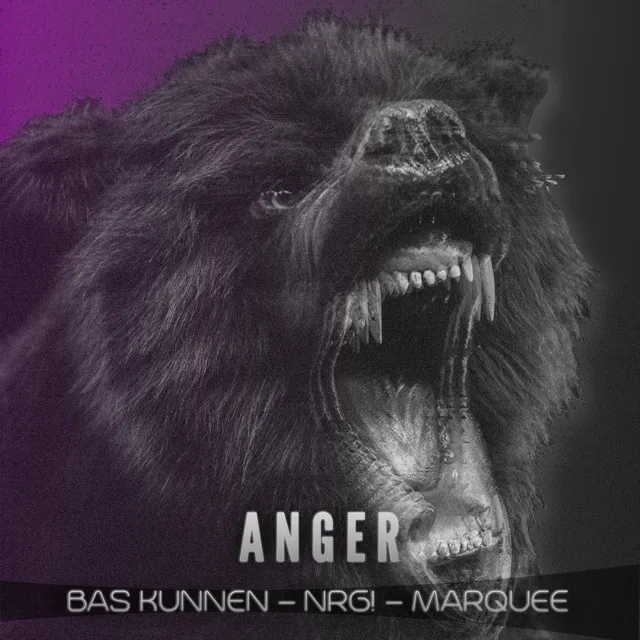 Anger (Sandroz Remix)