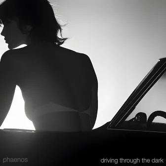 Driving through the dark by PHAENOS