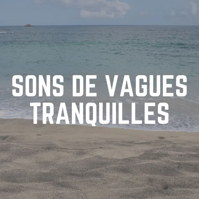 Sons de Vagues Tranquilles