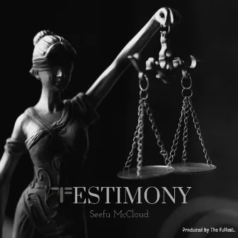 TESTIMONY (Radio Edit) by Seefu McCloud