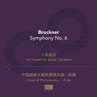 Ten Years Of Music Journey 04: Bruckner by Unknown Artist