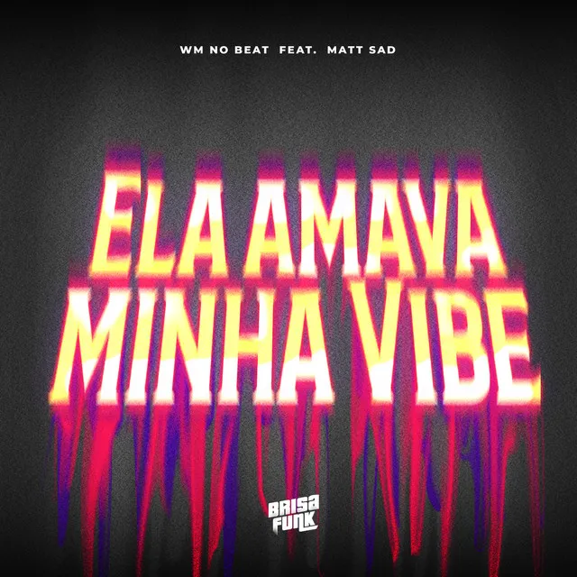 Ela Amava Minha Vibe (feat. matt sad)