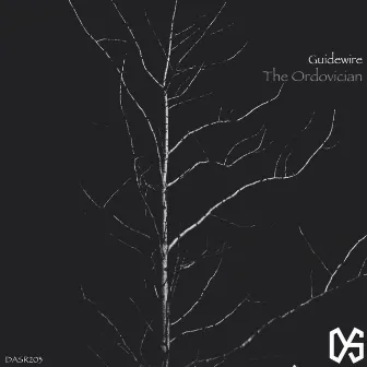 The Ordovician by Guidewire